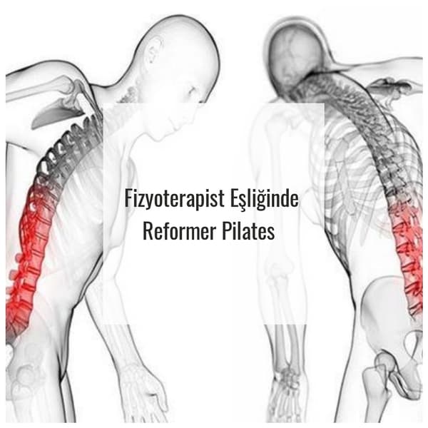 Bella Pilates Stüdyo - 16. Fotoğraf Bella Pilates Stüdyo - 16. Fotoğraf